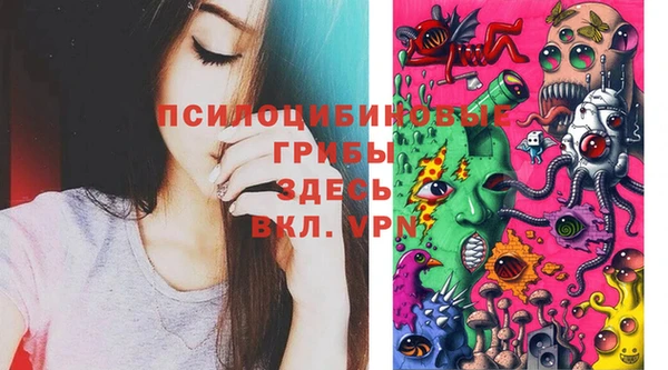 mdpv Белокуриха