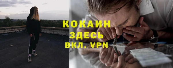 дживик Белоозёрский