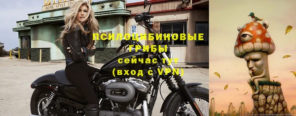 mdpv Белокуриха