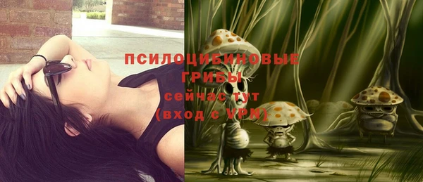 дживик Белоозёрский