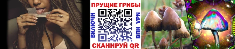 Галлюциногенные грибы Cubensis Улан-Удэ