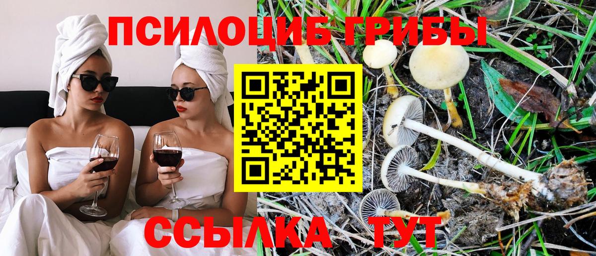 Псилоцибиновые грибы Magic Shrooms Улан-Удэ