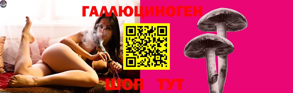хочу   Псилоцибиновые грибы Cubensis  Вход с VPN  Улан-Удэ  Псилоцибиновые грибы прущие грибы 