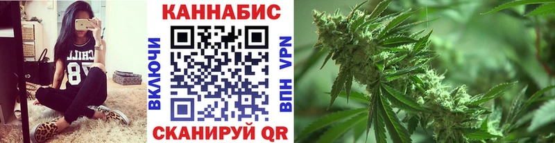 где купить   Улан-Удэ  Каннабис ГИДРОПОН 